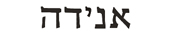 Anita in Hebrew